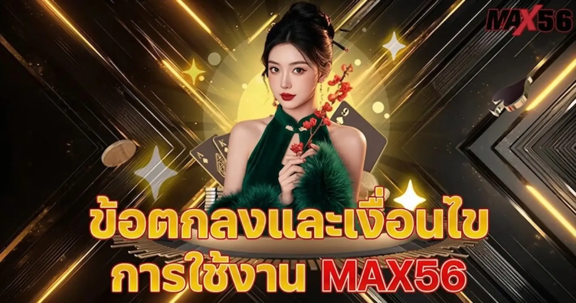 ข้อตกลงและเงื่อนไขการใช้งาน MAX56